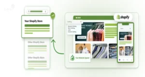 shopify website